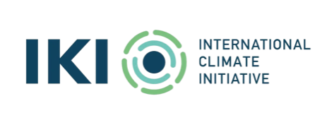 International Climate Initiative (IKI)